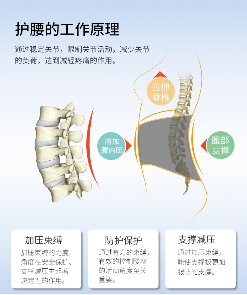 夏季護(hù)腰_常州普邦醫(yī)療設(shè)備